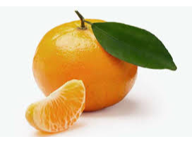 Mandarina Nova