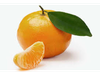 Mandarina Nova