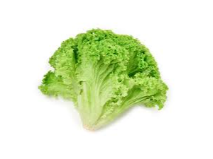 Lechuga Crespa