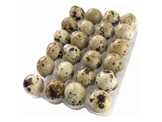 Huevos Codorniz