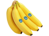 Banana Ecuador