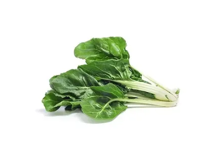 Acelga