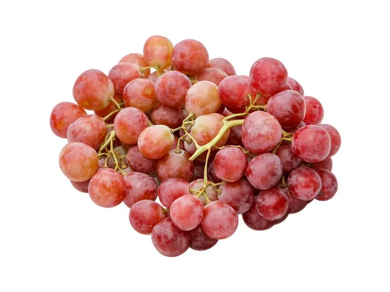 Uva Red Globe