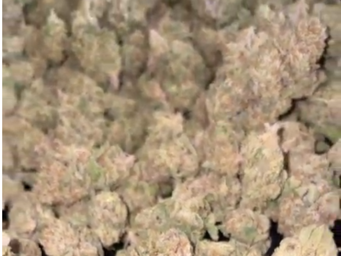 5 g ramos Weed California Indor medicinal