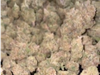 5 g ramos Weed California Indor medicinal