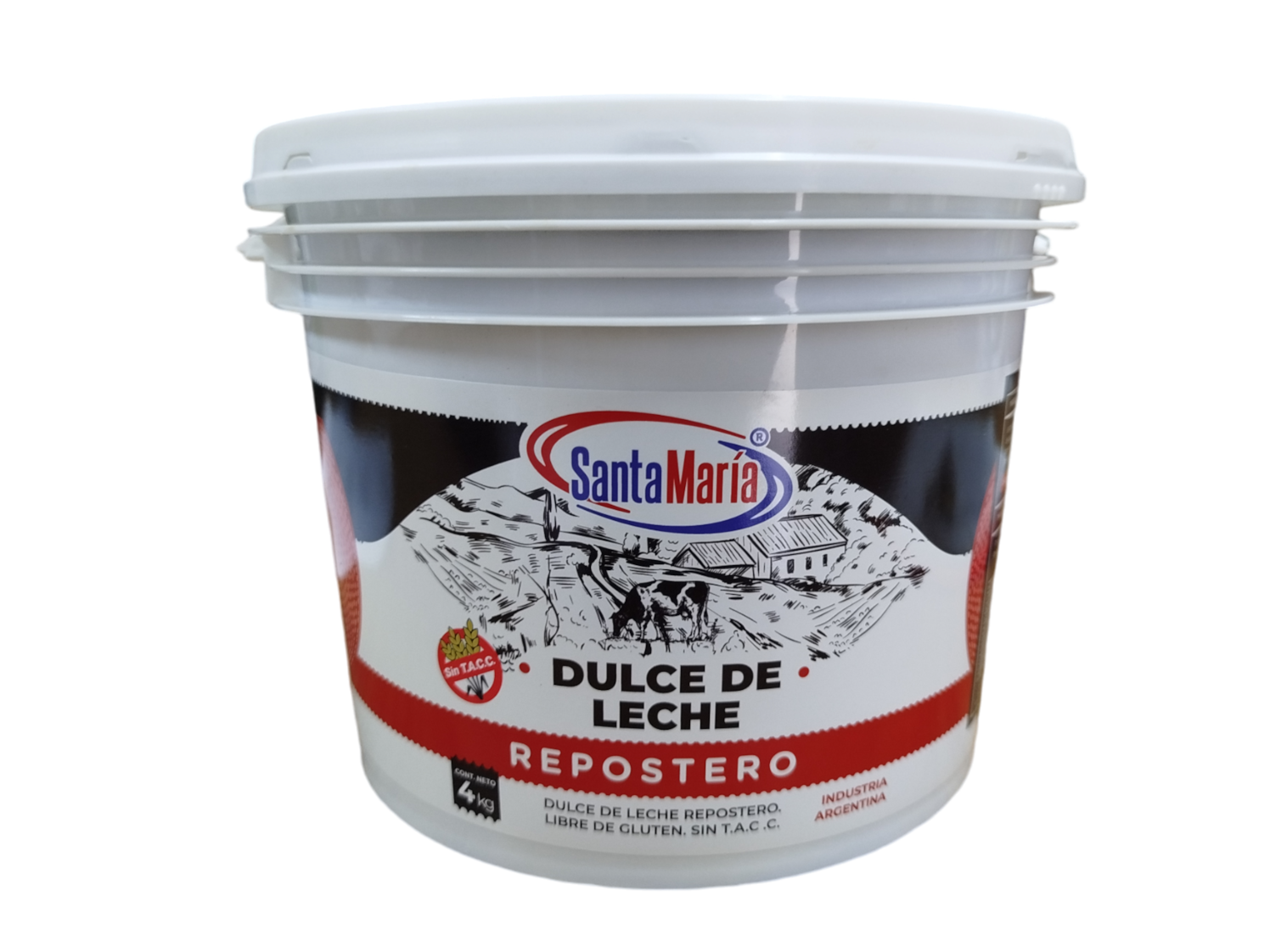 DULCE REPOSTERO SANTA MARIA 4 KILOS