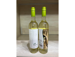 Gata flora torrontes