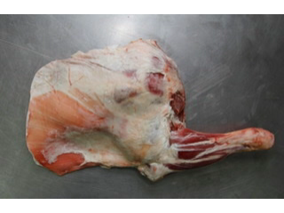 Paleta de cordero (precio x kilo)