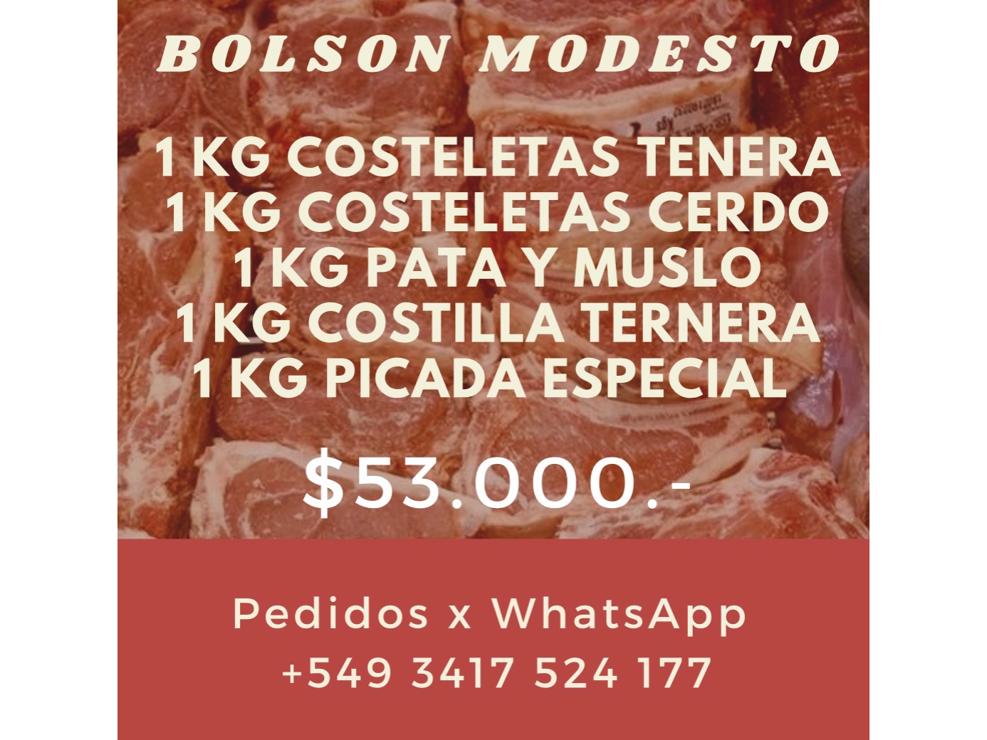 Bolson Modesto