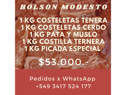 Bolson Modesto