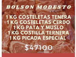 Bolson Modesto