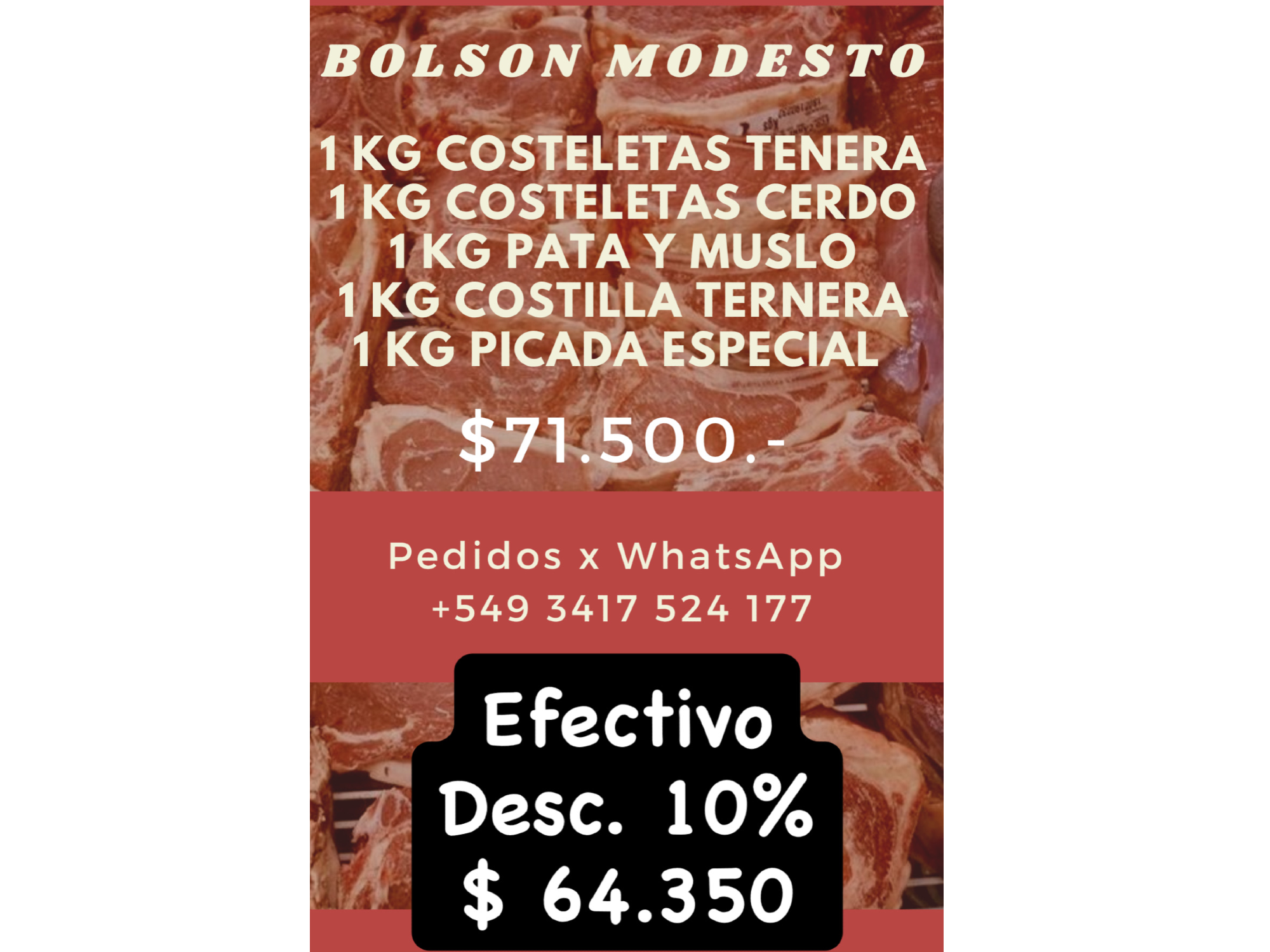 Bolson Modesto