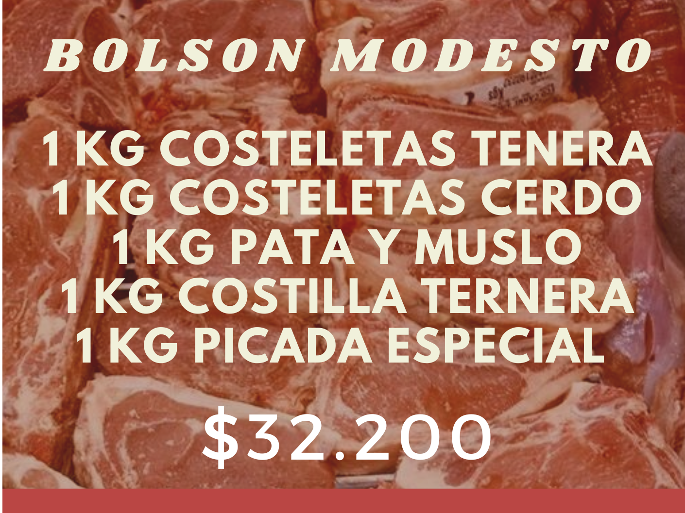 Bolson Modesto