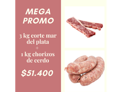 Promo mar del plata + chori