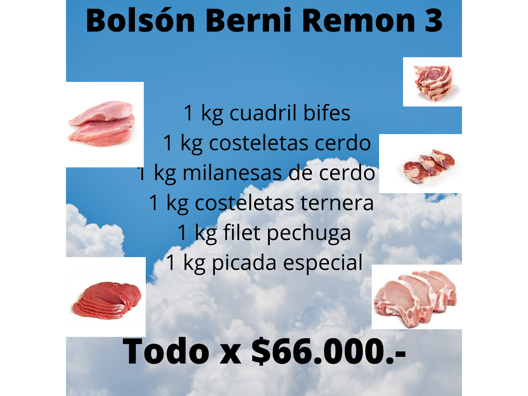 Bolsón x 6 kilos Berni 3