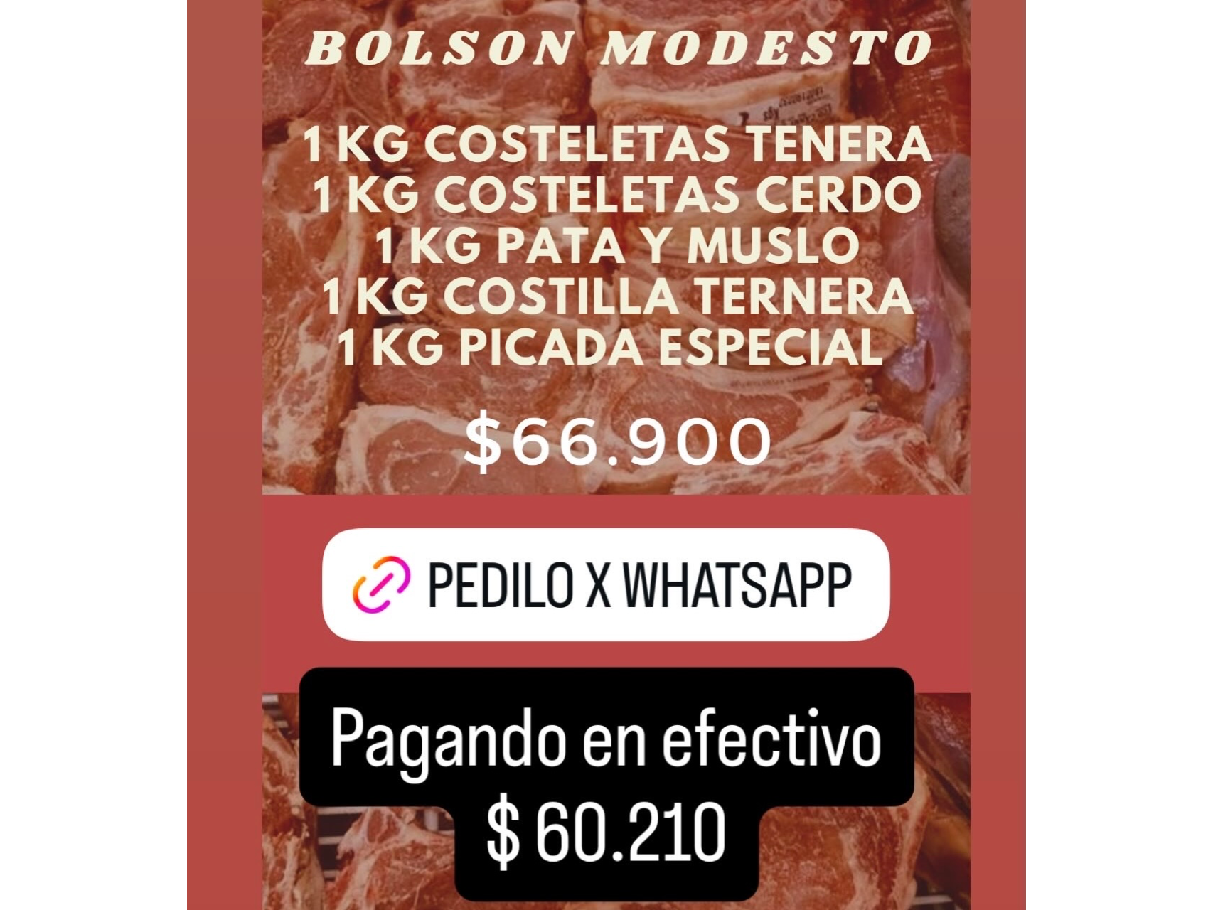 Bolson Modesto