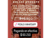 Bolson Modesto