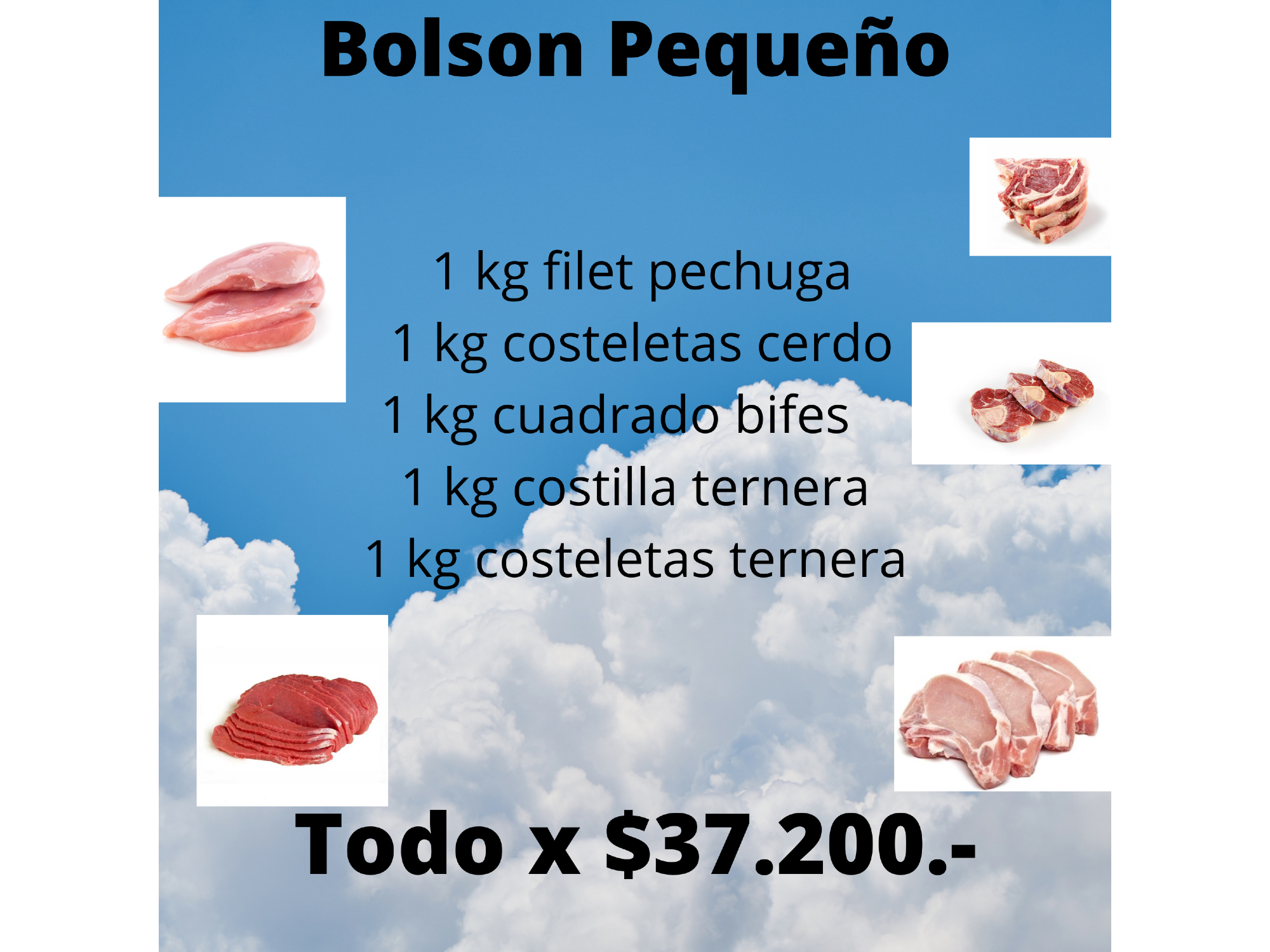 Bolson pequeño