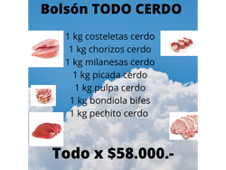 Bolsón TODO CERDO