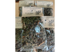 Menta Peperina