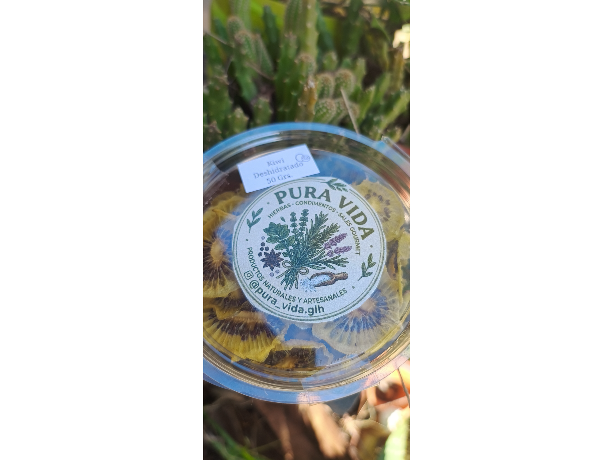 Kiwi 🥝