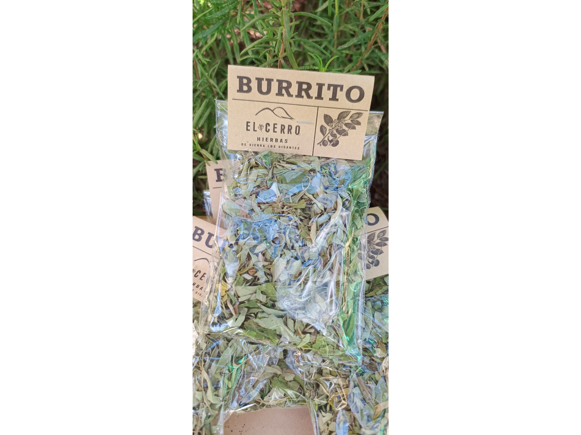 Burrito