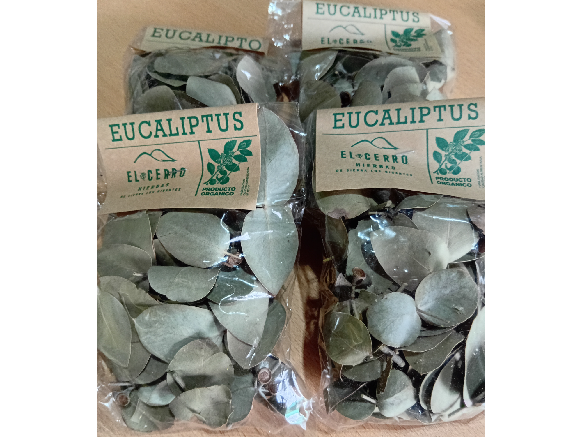 Eucalipto