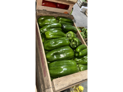 Pimiento verde