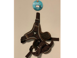 ARNÉ CON CORRA PERRO TALLA XL