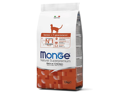 Monge de 1,5 kilos senior gato