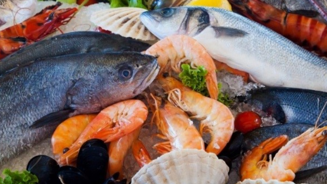 PESCADOS Y MARISCOS