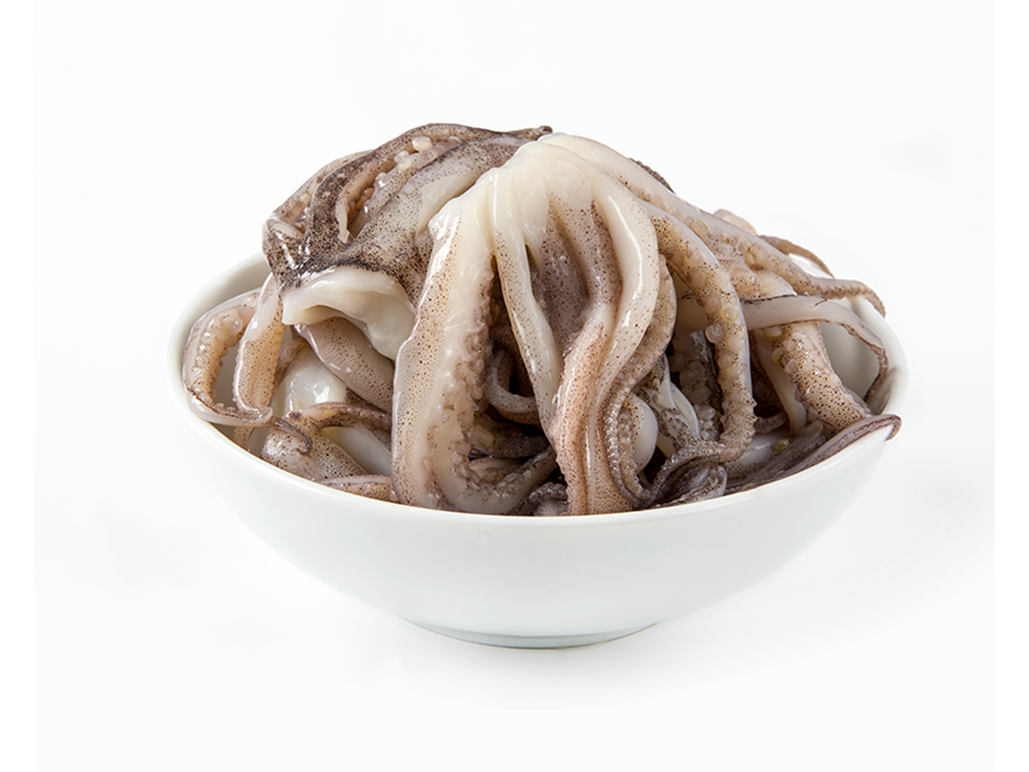 TENTACULO DE CALAMAR