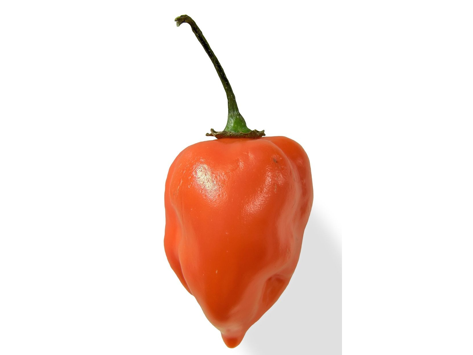 Chile Habanero