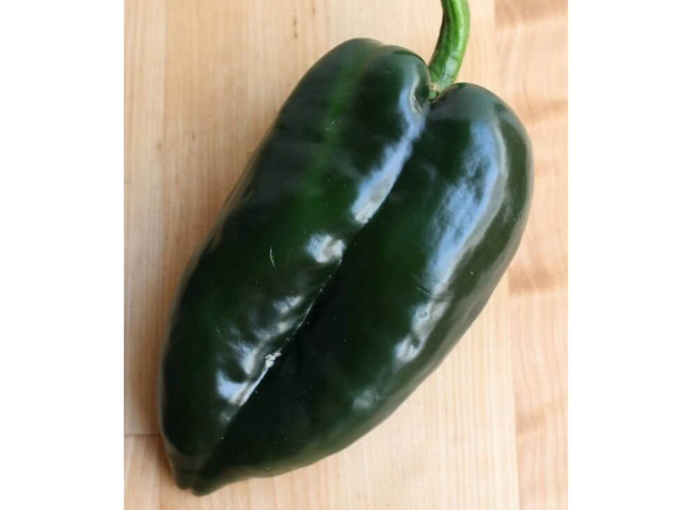 Chile Poblano