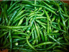 Chile Serrano