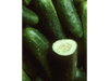 Pepino Verde
