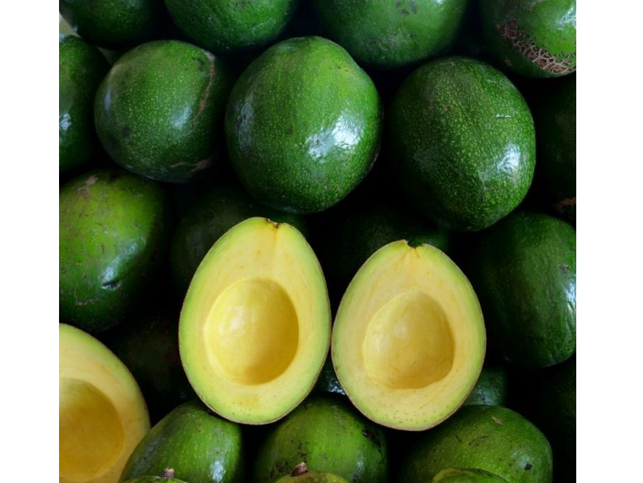 Aguacate Chiapas