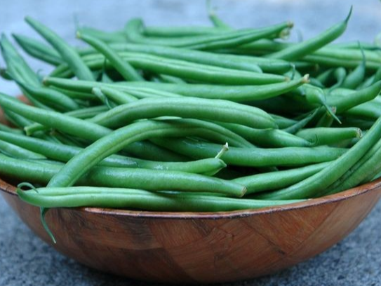 Ejote