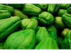 Chayote