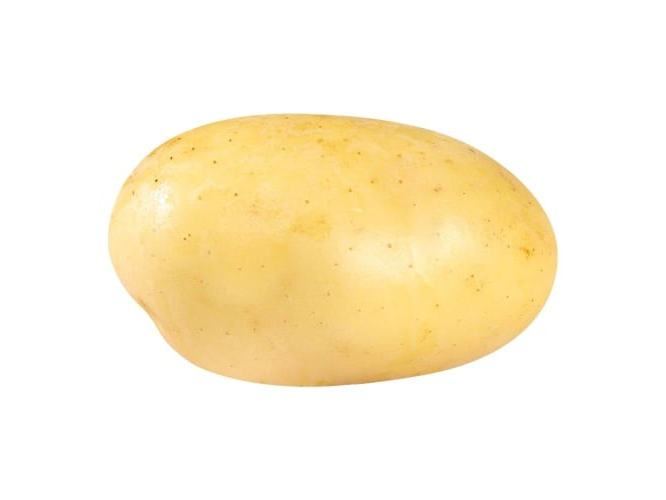 Papa Blanca