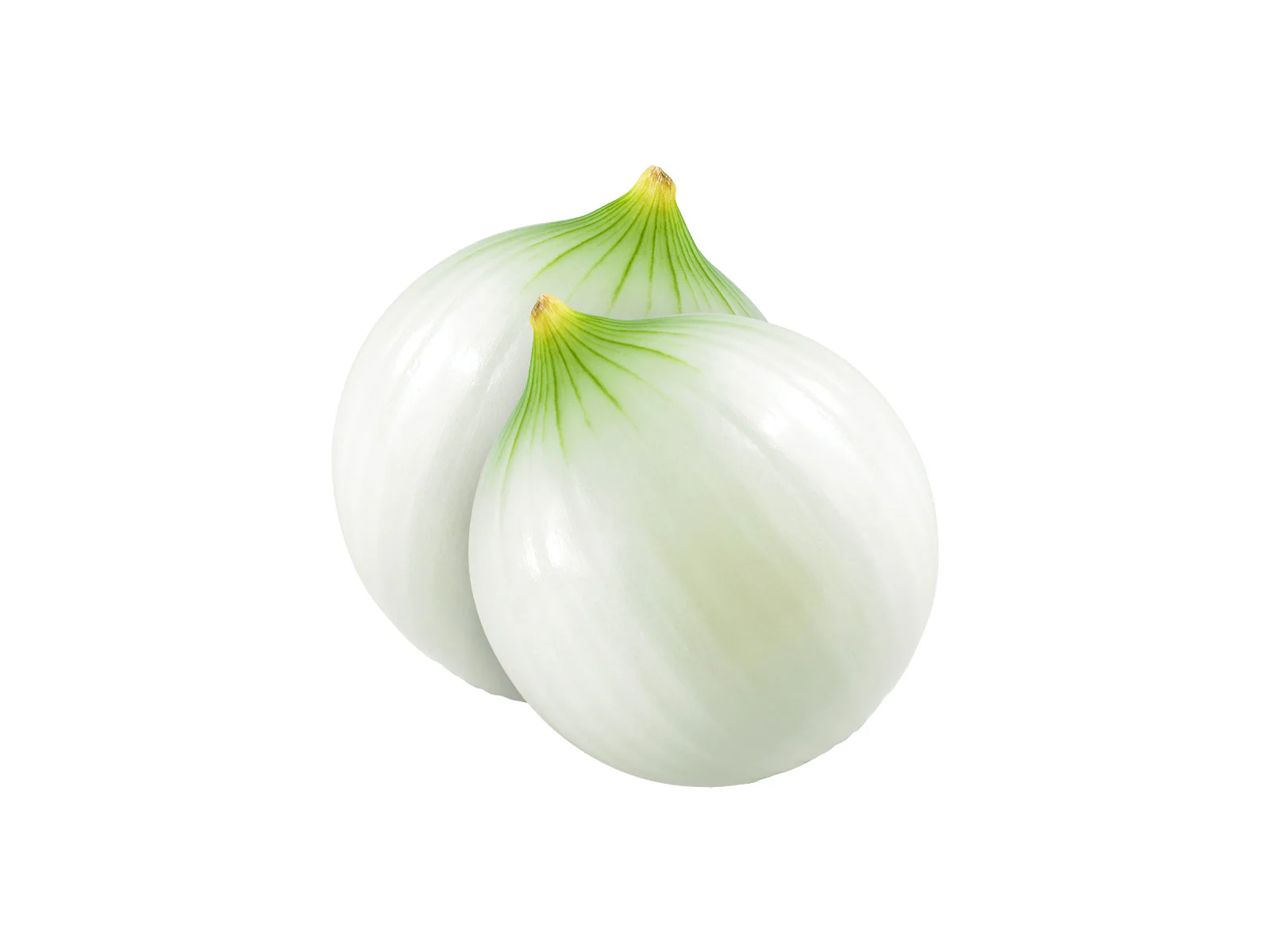 Cebolla Blanca