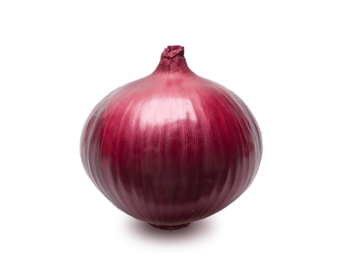 Cebolla Morada
