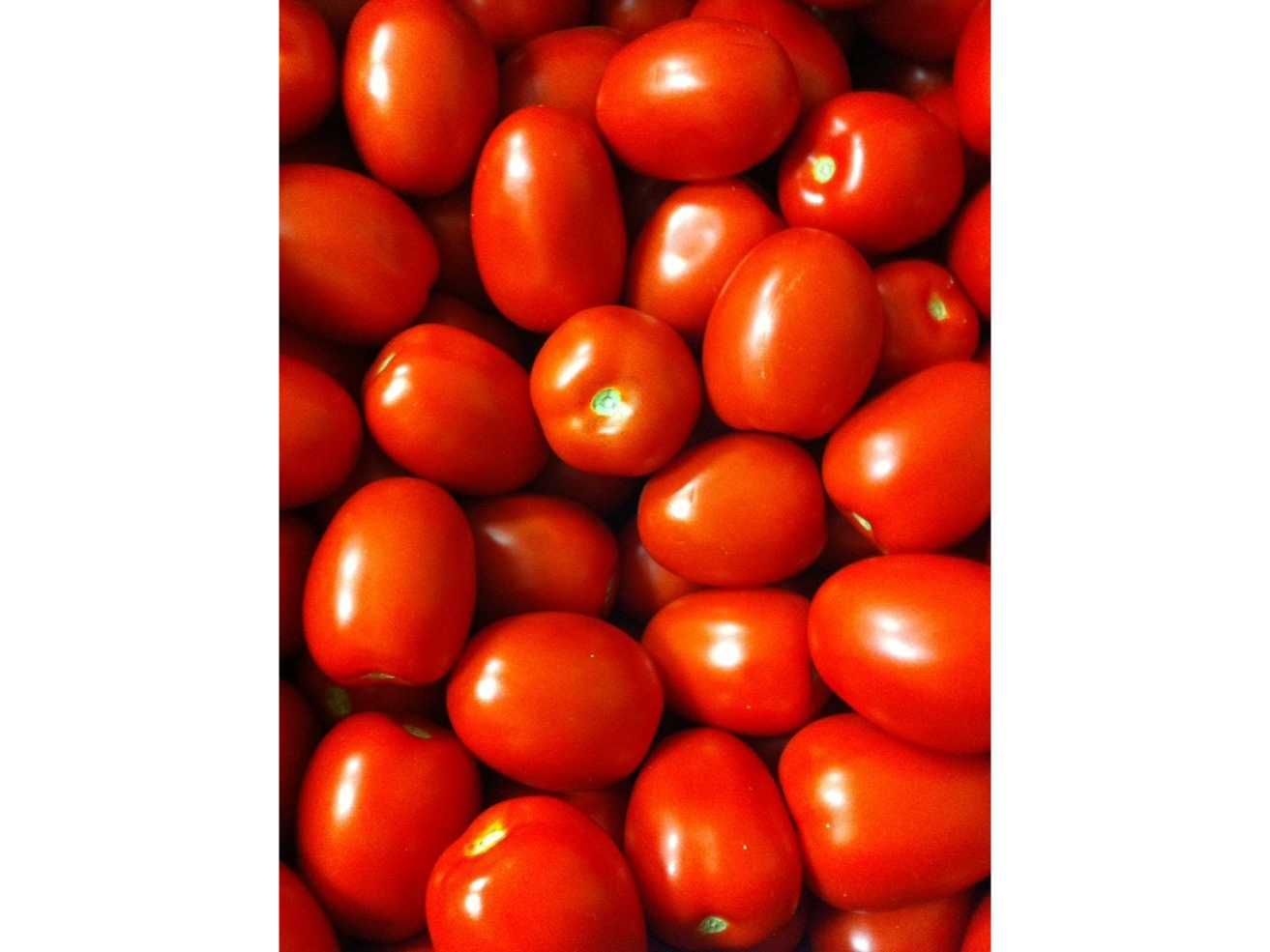Tomate De Segunda