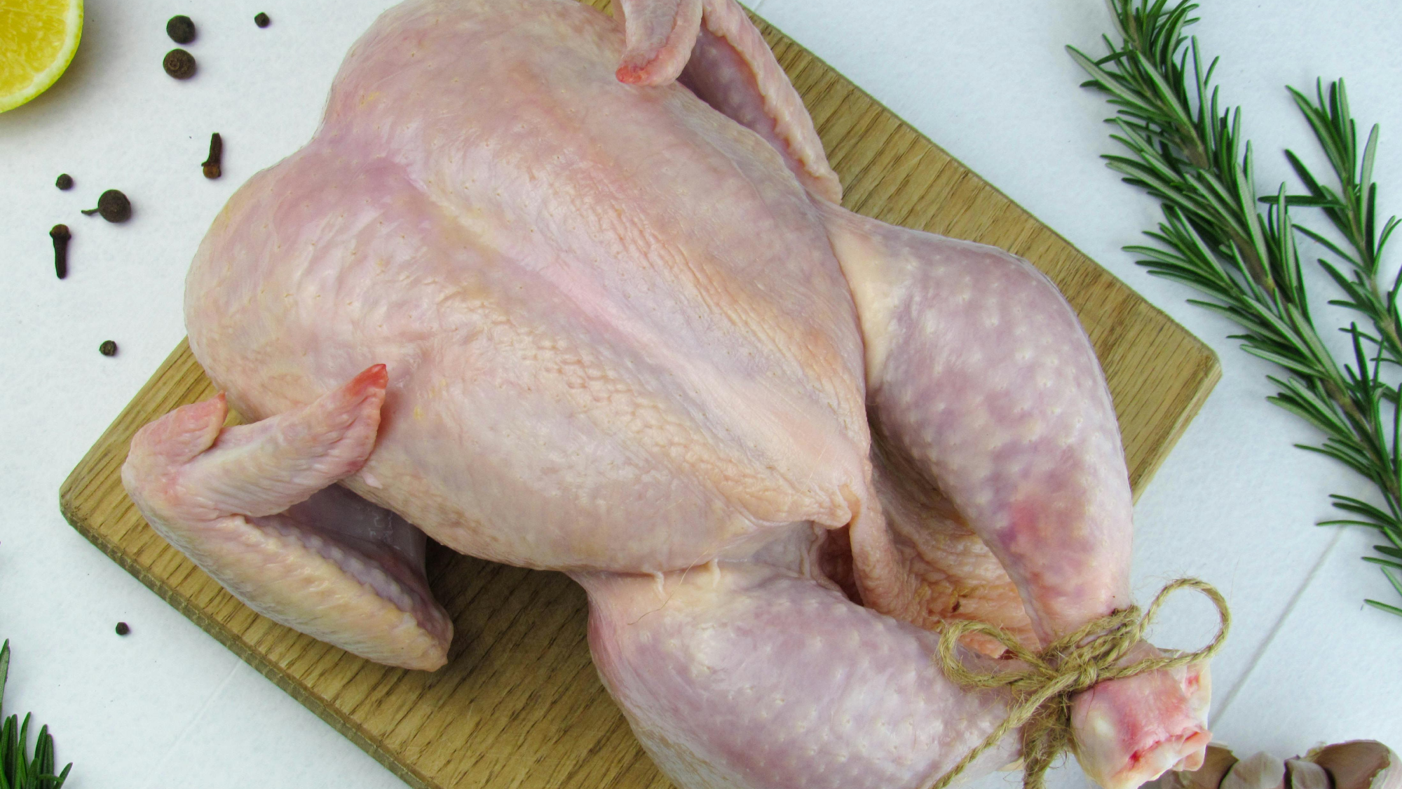 POLLO