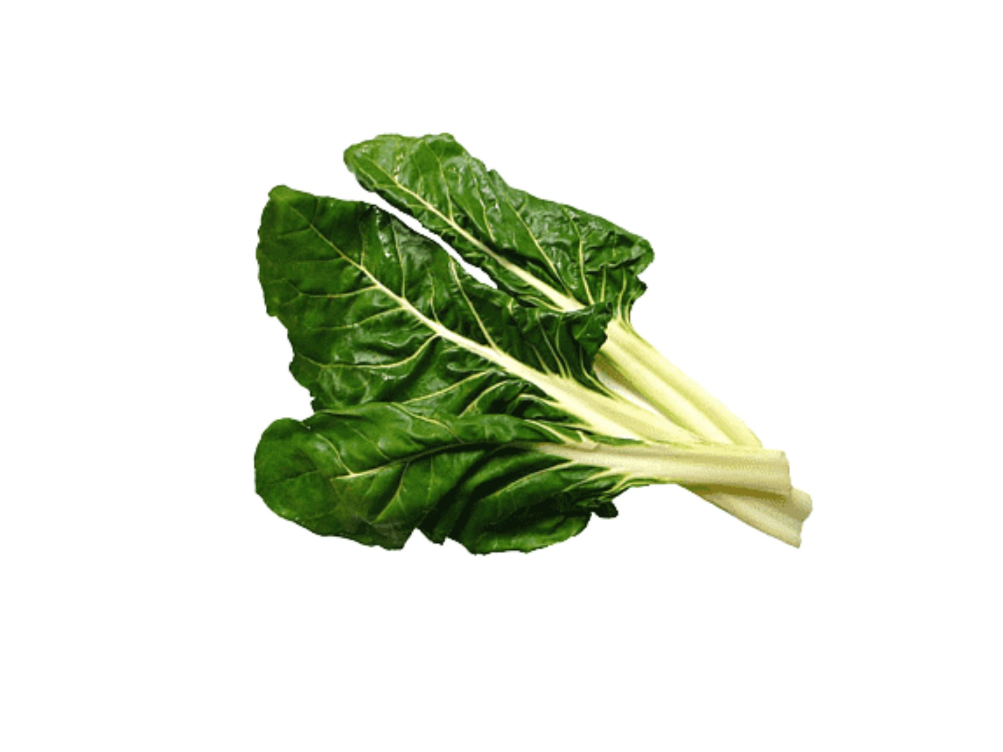 ACELGA