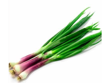 CEBOLLA DE VERDEO