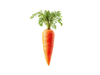 ZANAHORIA
