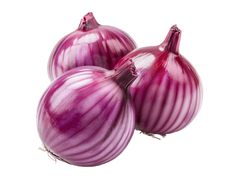 CEBOLLA MORADA