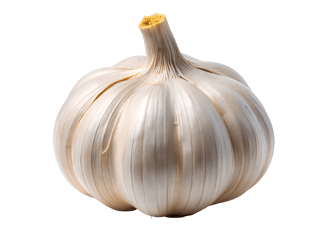AJO