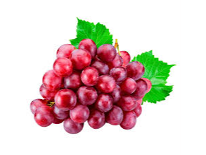 UVA RED GLOBE